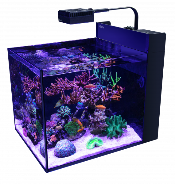 MAX® NANO Peninsula komplettes Riffsystem (Aquarium ohne Unterschrank)