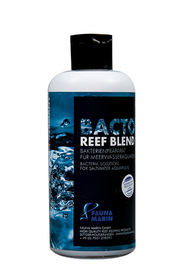 Bacto Reef Blend 250 ml - concentrado de bacterias para el agua de mar