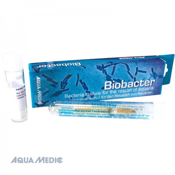 biobacter - Bakterienkultur