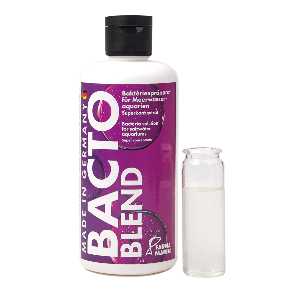 Bacto Reef Blend 1000 ml - concentrated bacteria for sea water