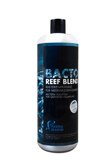Bacto Reef Blend 1000 ml - concentrado de bacterias para el agua de mar
