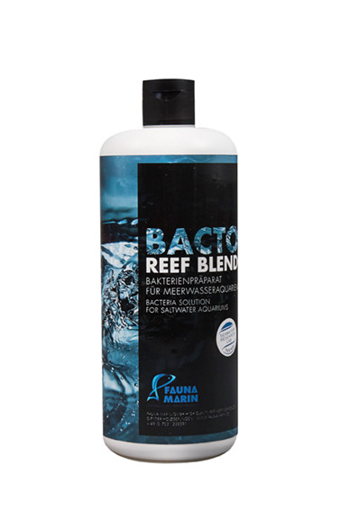 Bacto Reef Blend 500 ml - concentrated bacteria for sea water