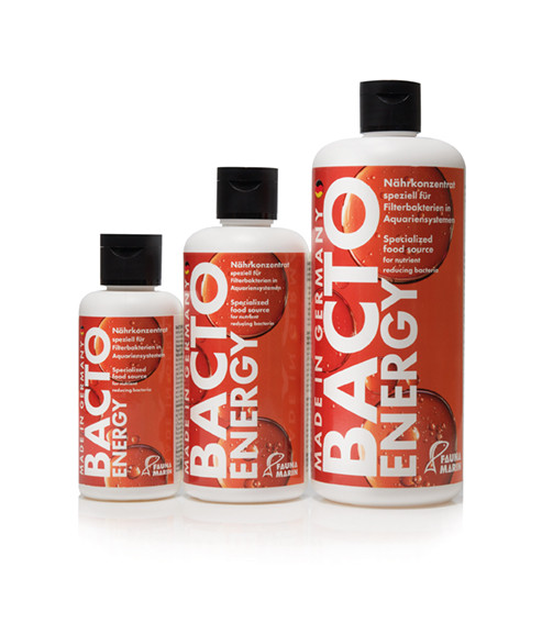 Bacto Energy 250ml - Nutrient concentrate for filter bacteria