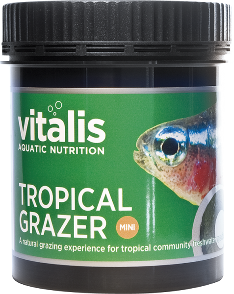 MINI Tropical Grazer 290g - Mini Süßwasser Grazer