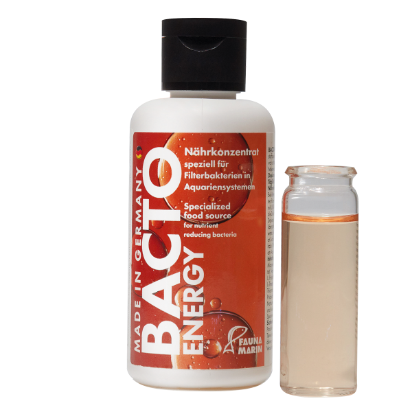 Bacto Energy 100ml - Nutrient concentrate for filter bacteria
