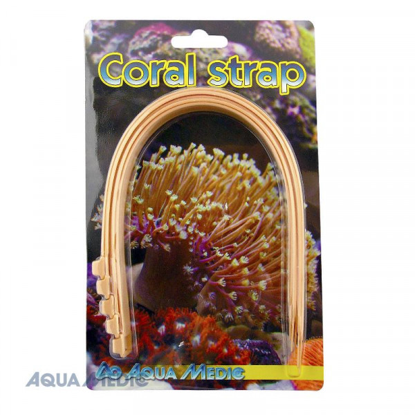 Correa de coral (5 piezas)